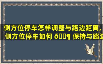 侧方位停车怎样调整与路边距离,侧方位停车如何 🐶 保持与路边线30至50cm